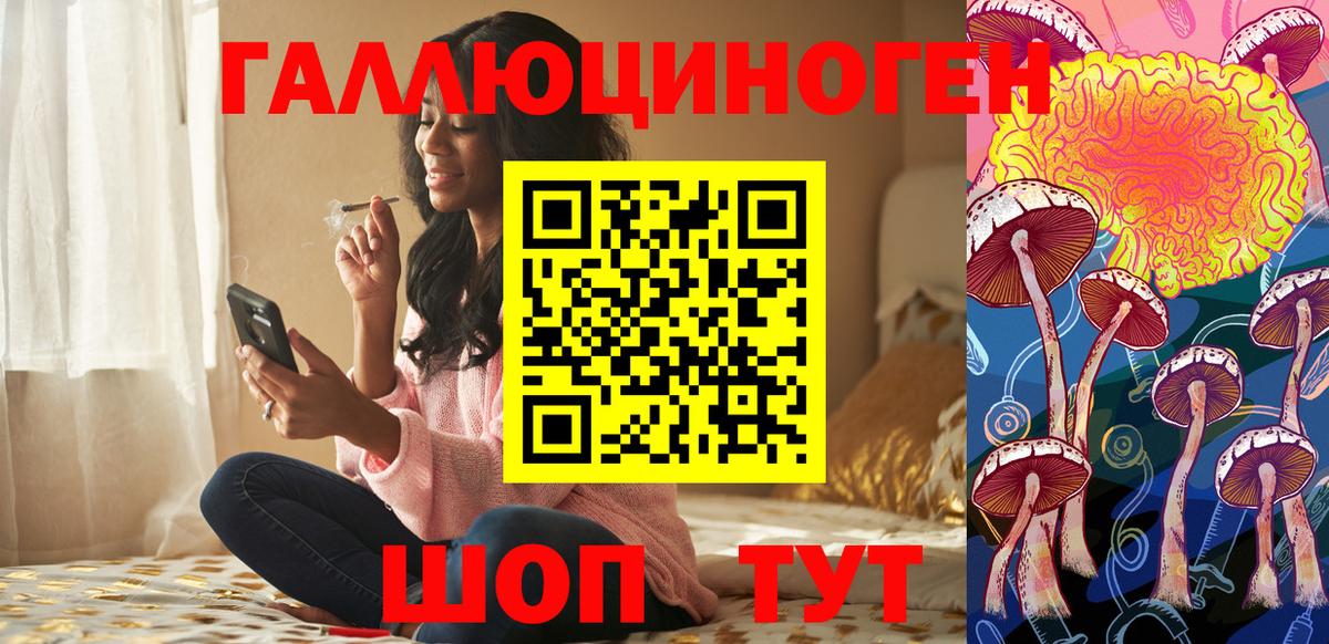 Красноармейск  Псилоцибиновые грибы ЛСД  Вход с VPN 